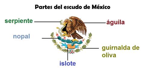 Partes Del Escudo Nacional Mexicano Escudo De México