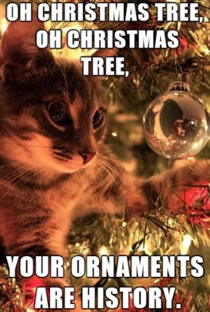 20 Funny Christmas 2017 Memes To Get You Into The Holly Jolly Holiday