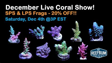 Reefbums December 2021 Live Coral Sale Youtube