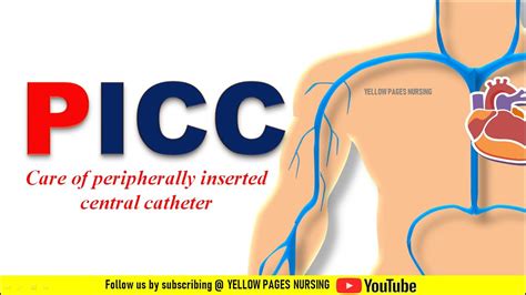 Peripherally Inserted Central Catheter Care Of PICC Line YouTube