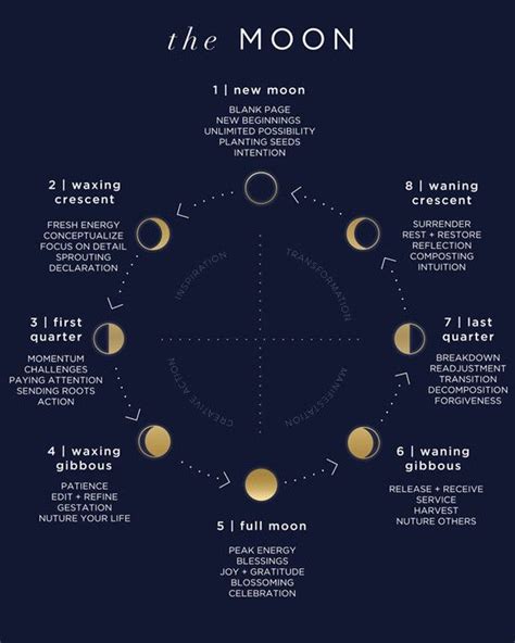 Its The First New Moon Of Fall 🌑 🌟the New Moon Symbolizes A Fresh
