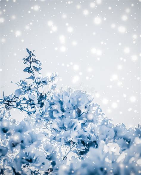Christmas New Years Blue Floral Nature Background Holiday Card Design