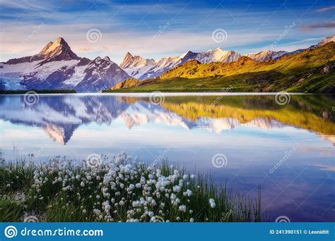 Great View Of Bernese Range Above Bachalpsee Lake Location Swiss Alps