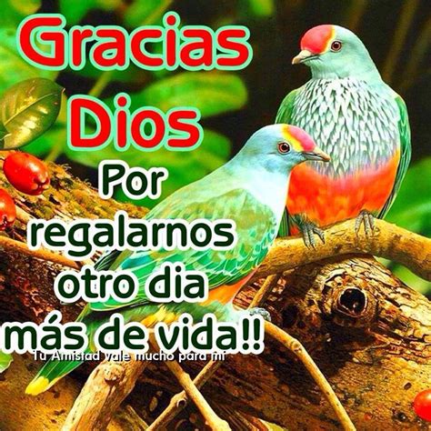 Dios siempre te será fiel. ≡ 14 Imágenes Bonitas de Gracias Dios para Compartir ...