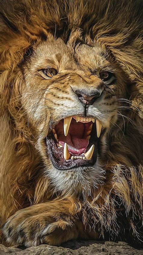 The Ultimate Collection Of Roaring Lion Images In Full 4k Resolution