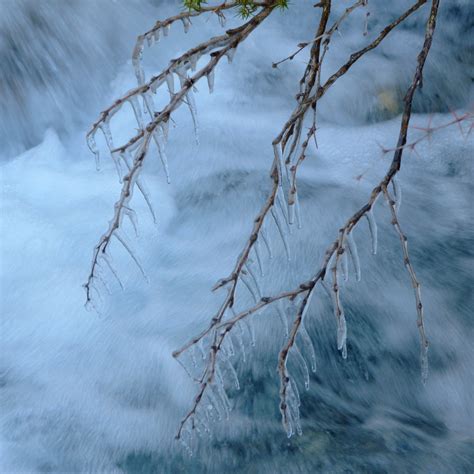 Free Images Tree Water Branch Snow Cold Winter Frost Cascade