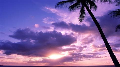 Paradise Sunset Wallpapers Wallpaper Cave