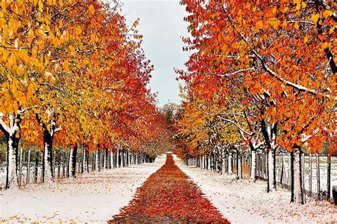 3840x2160px 4k Free Download Autumn Trees With Snow Path Sidewalk