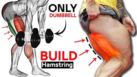 6 Easy Exercises Hamstring Workout With Dumbbell YouTube
