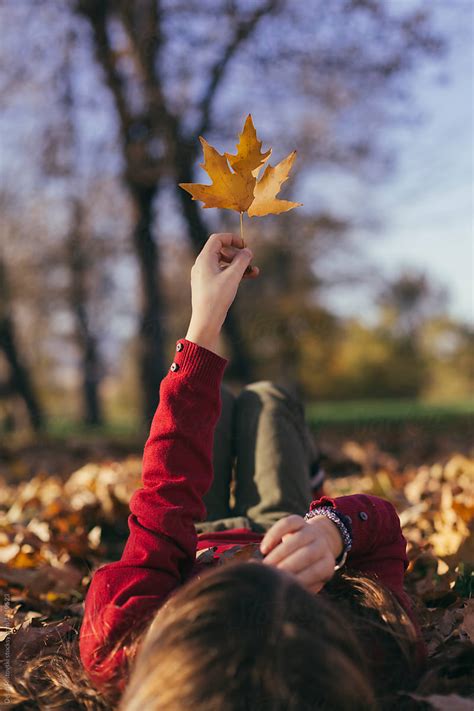 Child Holding Maple Leaf By Stocksy Contributor Dejan Ristovski