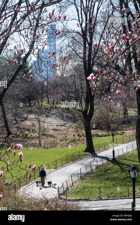 People Enjoying Central Park In Springtime Nyc Stock Photo Alamy