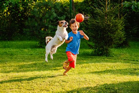Nach 5 versuchen rollen wechseln. Spielende Kinder im Garten - Themen - lokalmatador
