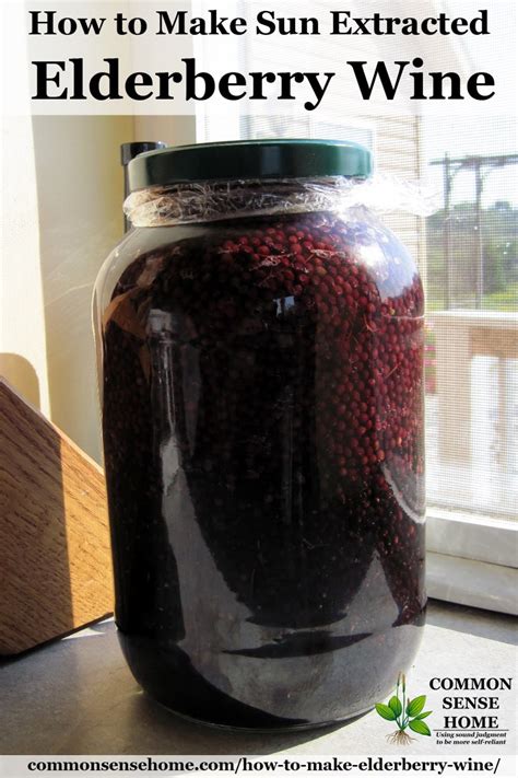 Elderberry Wine Recipe 5 Gallons Besto Blog