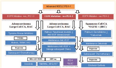 Evolving Treatment Algorithm Of Non Small Cell Lung Carcinoma In 2012