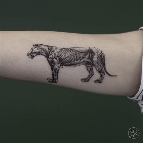 110 Best Wild Lion Tattoo Designs And Meanings Choose