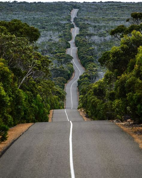The Long And Windy Road Photos Of The Week Cool Photos Photo