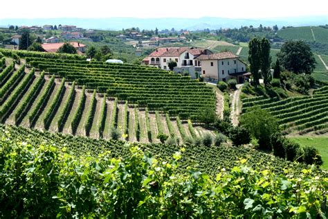 Filepiemonte Italy Vineyards With Village