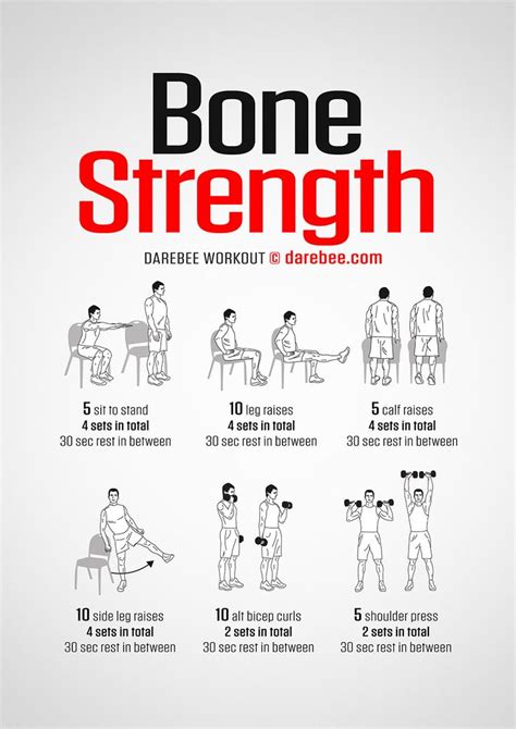 Bone Strength Workout Bone Strength Strength Workout Workout