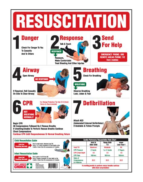 We did not find results for: CPR Wall Chart