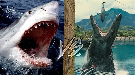 40 Mosasaurus Size Comparison Megalodon Whale Shark Pics Wall Hd Phone Destop