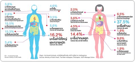 Lyme disease is a multisystem illness caused by infection with the spirochete borrelia burgdorferi and the body's immune response to the infection. Basic knowledge of cancer | Bangkok Hospital Phuket ...