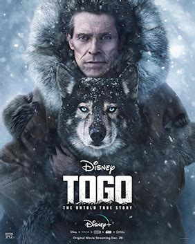 Togo finally gets the movie he deserves and while this movie will probably float under the radar of just about everybody, this film has a lot of heart. Togo (film) - Wikipedia