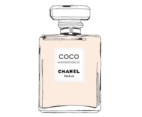 Chanel Perfume Vector At Collection Of Chanel Perfume