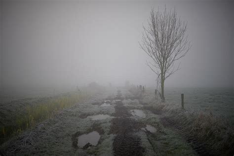 Foggy Landscape With Its Own Atmosphere Photograph By Jenco Van Zalk
