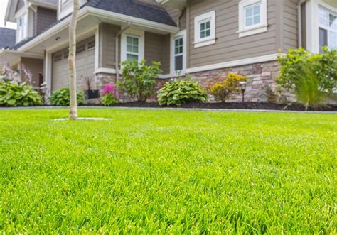 Then run your sprinklers for 15 minutes and measure the. How To Keep Your Grass Green In Utah This Summer