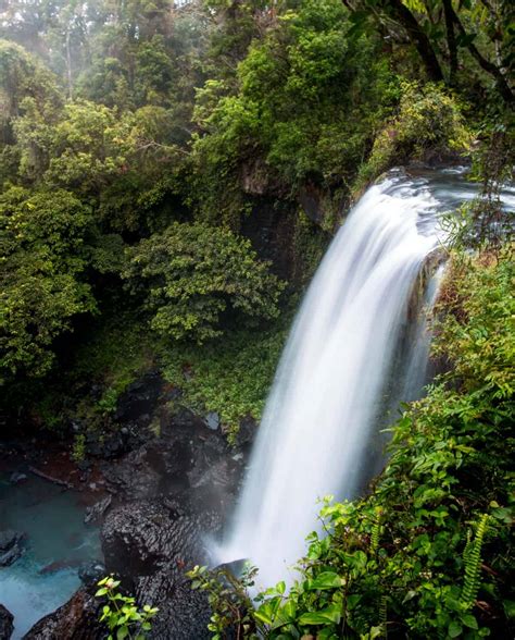 Best Waterfalls Near Cairns 17 Waterfalls You Have To See ⋆ We Dream