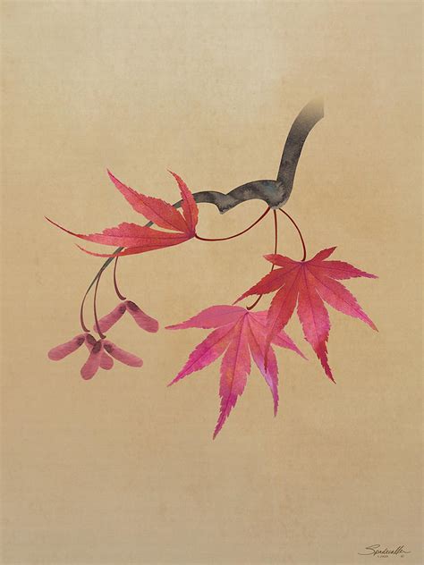 Japanese Maple Digital Art By M Spadecaller Pixels