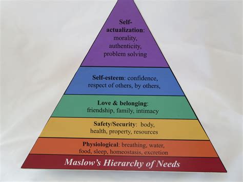 Maslow S Famous Pyramid Of The Hierarchy Of Needs Abraham Maslow My XXX Hot Girl