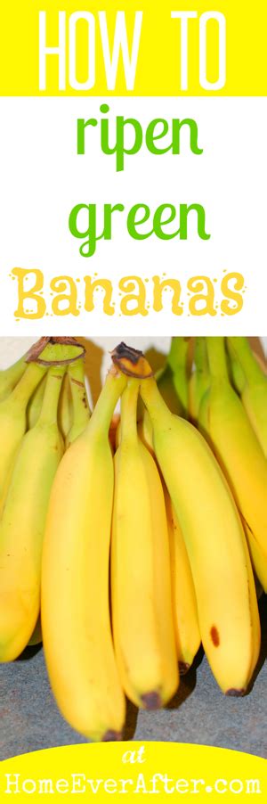 How To Ripen Green Bananas Home Ever After