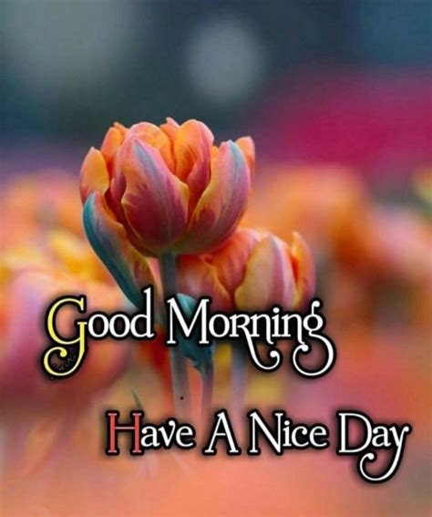 Some Flowers With The Words Good Morning Have A Nice Day On It S Side