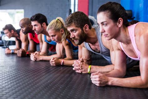 Serious Friends Exercising In Gym Stock Photo Image Of Mature