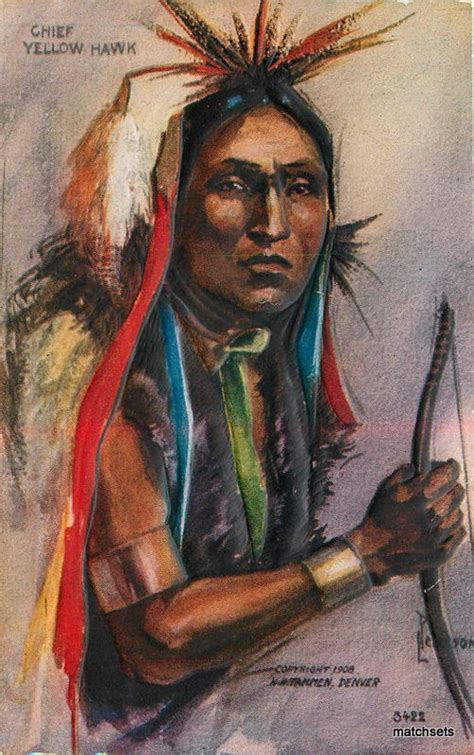 Artist Impression C 1910 Chief Yellow Hawk Native American Indian