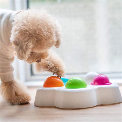 The 15 Best Dog Puzzle Toys Popsugar Uk Pets