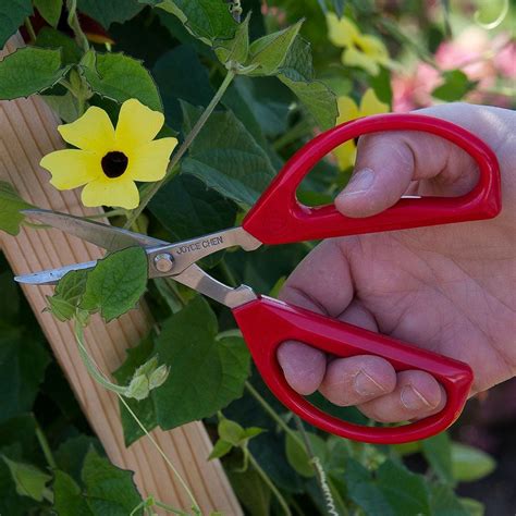 Unlimited Garden Scissors White Flower Farm