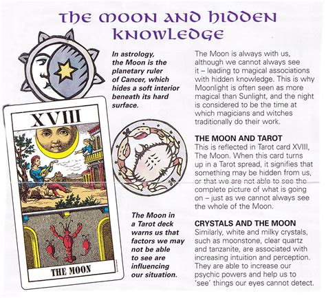 The moon card in a love life reading points at a subconscious desire to change. The moon and hidden knowledge | Tarot meanings, Tarot card meanings, Tarot learning