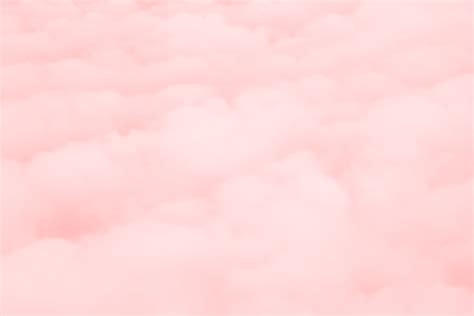 Download 81 Baby Pink Colour Background Hd Terbaru Hd Background Id