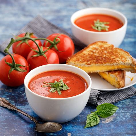 Ace Blender Classic Tomato Soup Instant Pot Recipes