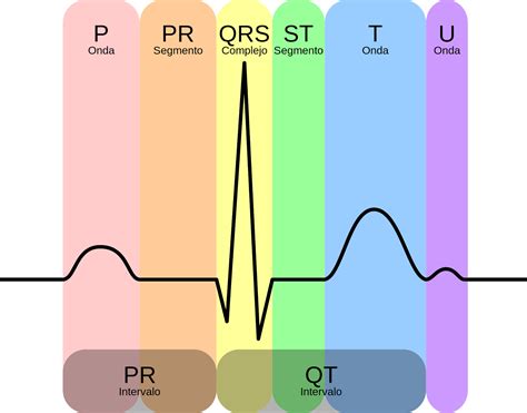 Que Es Un Electrocardiograma Interpretación Y Significado