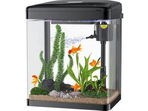 The 7 Best 2 Gallon Aquariums Of 2023 Reviews Findthisbest