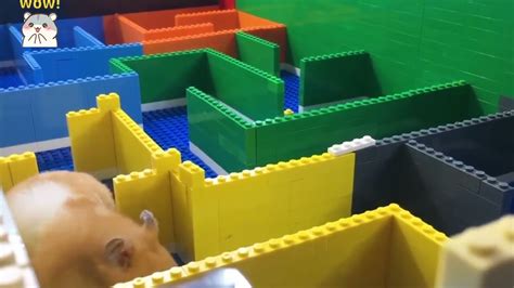 Creative Crafting Use Lego To Diy Interesting Mazes For Hamsters Youtube