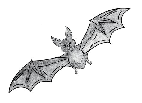Vintage Bat Halloween Art 12 Free Pdf Printables Printablee