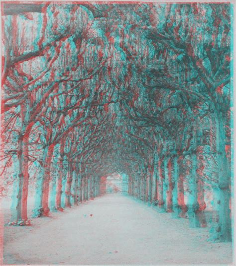 Anaglyph Tree Avenue Redcyan Anaglyph From A Vintage Sep Flickr