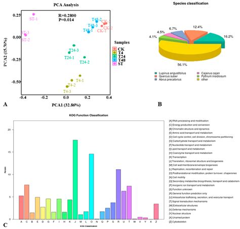 Ijms Free Full Text Transcriptomic And Metabolomic Analysis Reveal My