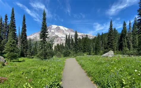 10 Best Kid Friendly Trails In Mount Rainier National Park Alltrails