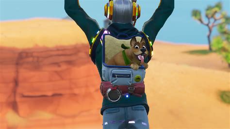 You Can Now Pet Pets In Fortnite Prima Games