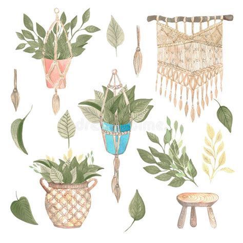 Boho House Plant Clipart Because The Boho Look Is Warm And Inviting